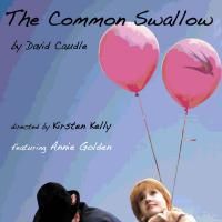 THE COMMON SWALLOW Opens 9/25 As Part Of the HOWL! Arts Project 2009 Video